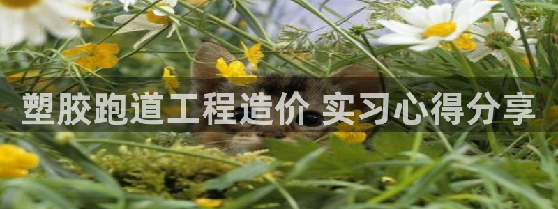 谈球吧怎么样?：塑胶跑道工程造价 实习心得分享