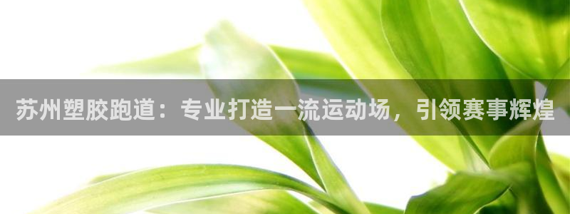 谈球吧APP开元：苏州塑胶跑道：专业打造一流运动场，