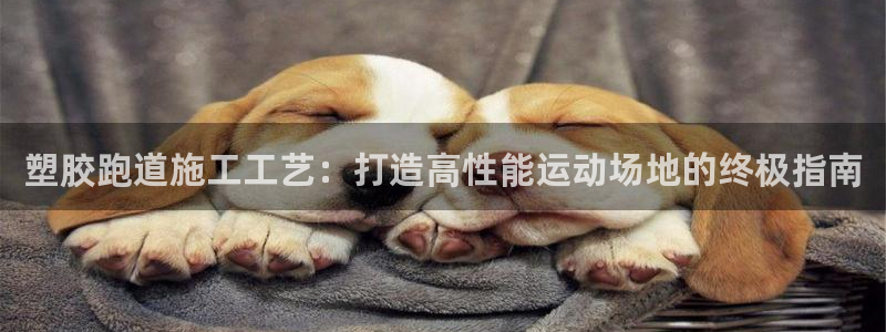 谈球吧是黑台子吗知乎小说：塑胶跑道施工工艺：打造高性能运动场地的终极指南
