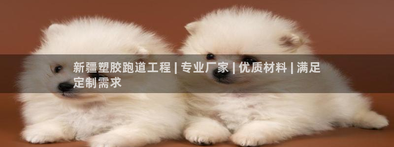 谈球吧体育app官网下载安装：新疆塑胶跑道工程 | 专业厂家 | 优质材料 | 满足
定制需求