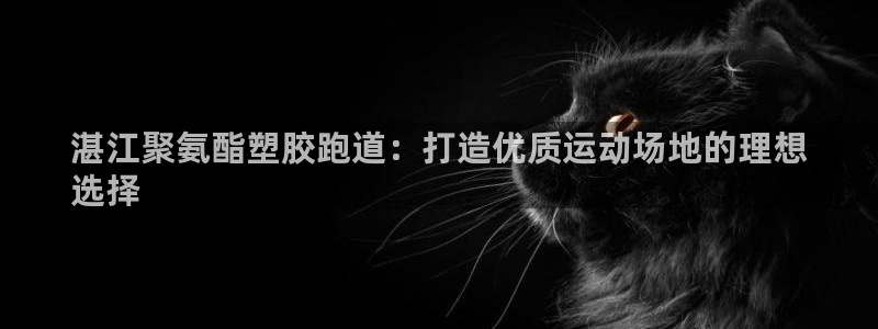 谈球吧黑款不：湛江聚氨酯塑胶跑道：打造优质运动场地的理想
选择