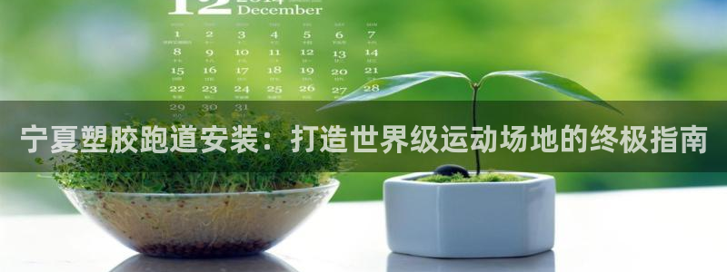 谈球吧买球是正规的吗：宁夏塑胶跑道安装：打造世界级运动场地的终极指南