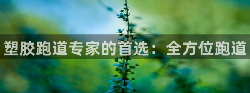 谈球吧是正规平台吗安全吗：塑胶跑道专家的首选：全方位跑道
