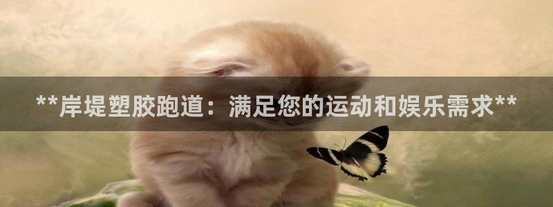 谈球吧体育app下载足球比赛视频：**岸堤塑胶跑道：