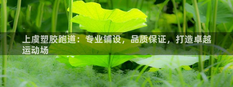 谈球吧-体育赛事：上虞塑胶跑道：专业铺设，品质保证，
