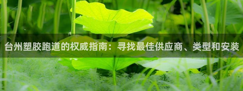 谈球吧是黑台子吗知乎：台州塑胶跑道的权威指南：寻找最佳供应商、类型和安装