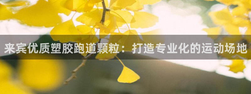 谈球吧app下载：来宾优质塑胶跑道颗粒：打造专业化的运动场地