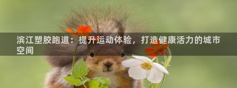 谈球吧在线观看：滨江塑胶跑道：提升运动体验，打造健康活力的城市
空间