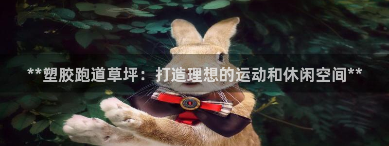 谈球吧官网在线入口免费观看：**塑胶跑道草坪：打造理想的运动和休闲空间**
