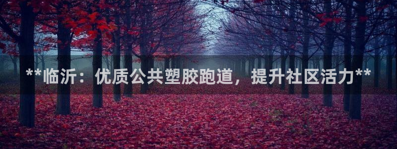 谈球吧体育首页综合登陆：**临沂：优质公共塑胶跑道，提升社区活力**
