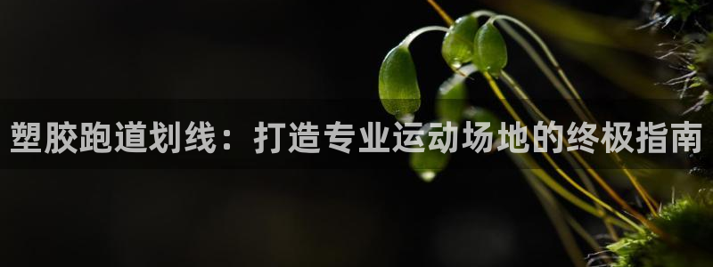 谈球吧体育首页综合登陆：塑胶跑道划线：打造专业运动场