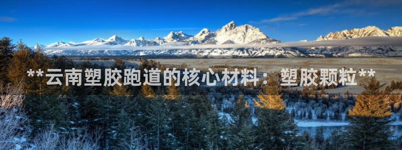 谈球吧娱乐app下载官网苹果版：**云南塑胶跑道的核