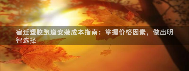 谈球吧的聊天软件叫什么：宿迁塑胶跑道安装成本指南：掌