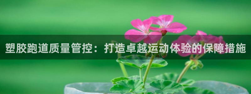 谈球吧官网在线入口免费观看视频：塑胶跑道质量管控：打造卓越运动体验的保障措施