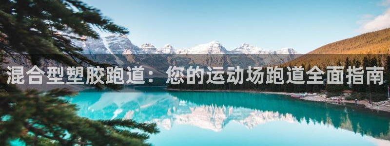谈球吧平台app下载网址是什么：混合型塑胶跑道：您的运动场跑道全面指南