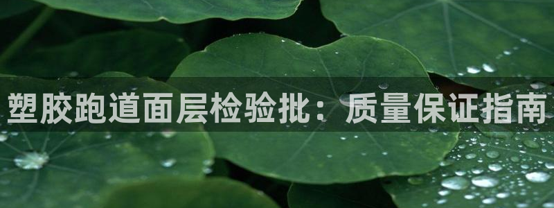 谈球吧体育app下载中心官方：塑胶跑道面层检验批：质量保证指南