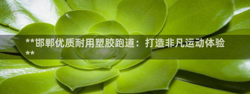 谈球吧最新APP下载：**邯郸优质耐用塑胶跑道：打造