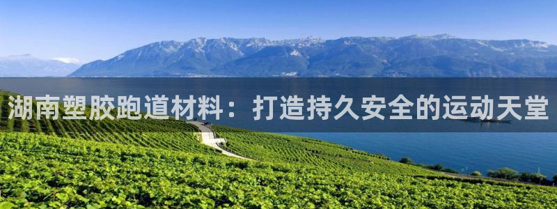 谈球吧APP：湖南塑胶跑道材料：打造持久安全的运动天