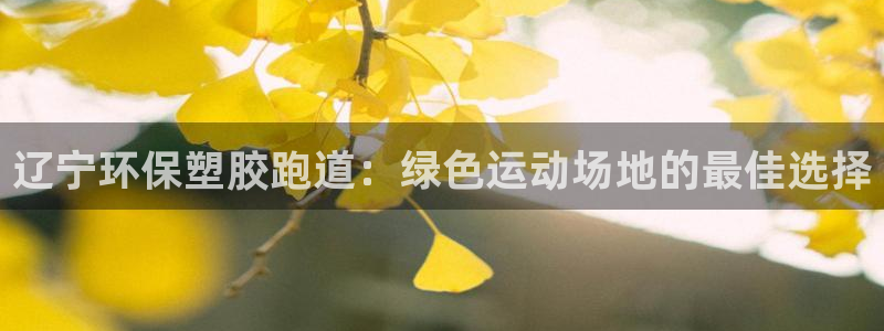 谈球吧言网入口：辽宁环保塑胶跑道：绿色运动场地的最佳选择
