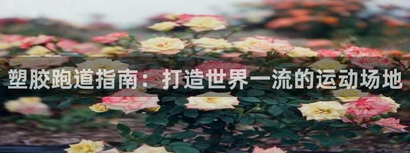 谈球吧体育官网在线入口：塑胶跑道指南：打造世界一流的运动场地