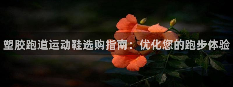 谈球吧不出款：塑胶跑道运动鞋选购指南：优化您的跑步体验