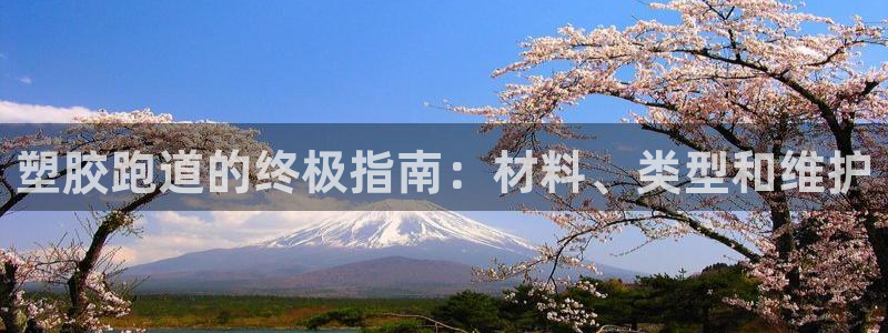 谈球吧平台正规吗可信吗安全吗：塑胶跑道的终极指南：材料、类型和维护