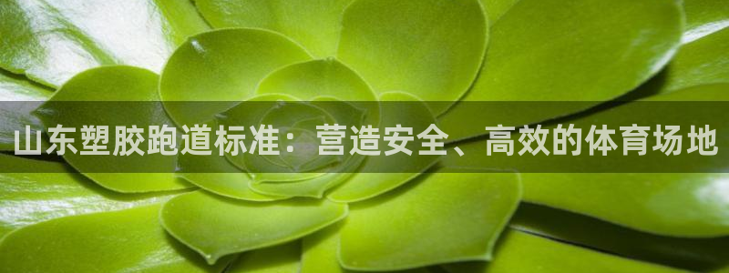 谈球吧首充金额截图：山东塑胶跑道标准：营造安全、高效的体育场地