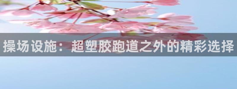 谈球吧全站app下载：操场设施：超塑胶跑道之外的精彩选择