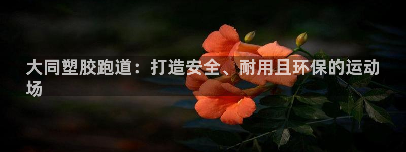 谈球吧的聊天软件叫什么名字：大同塑胶跑道：打造安全、耐用且环保的运动
场