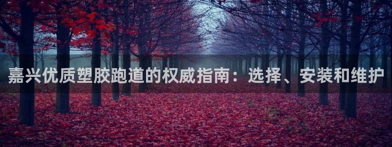 谈球吧中国官方网站：嘉兴优质塑胶跑道的权威指南：选择、安装和维护