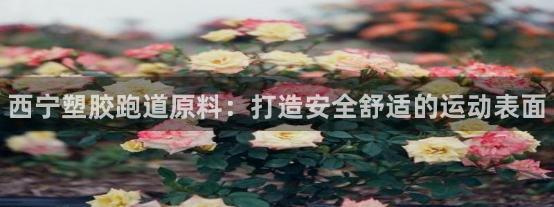 谈球吧体育app下载中心官网：西宁塑胶跑道原料：打造