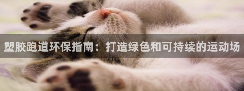 谈球吧体育app下载中心官网手机版：塑胶跑道环保指南：打造绿色和可持续的运动场