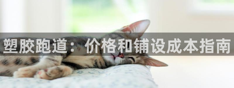 谈球吧是否诈骗：塑胶跑道：价格和铺设成本指南