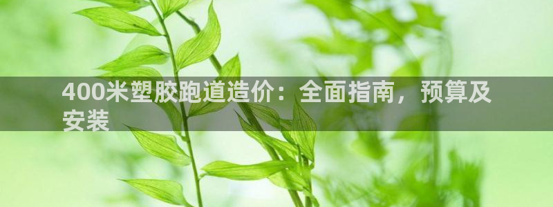 谈球吧app赛事分析报告模板：400米塑胶跑道造价：全面指南，预算及
安装