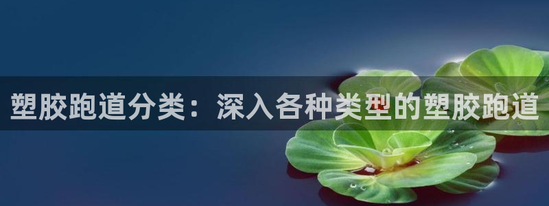 谈球吧的聊天软件叫什么来着：塑胶跑道分类：深入各种类型的塑胶跑道