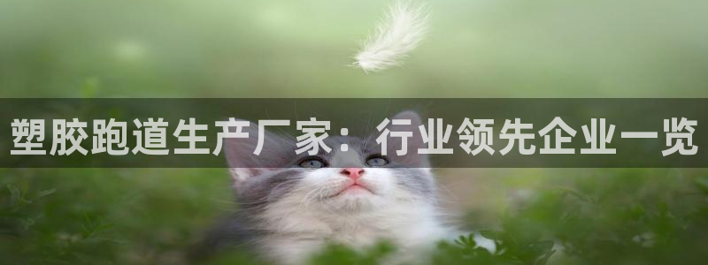 谈球吧体育app官网下载安装：塑胶跑道生产厂家：行业领先企业一览