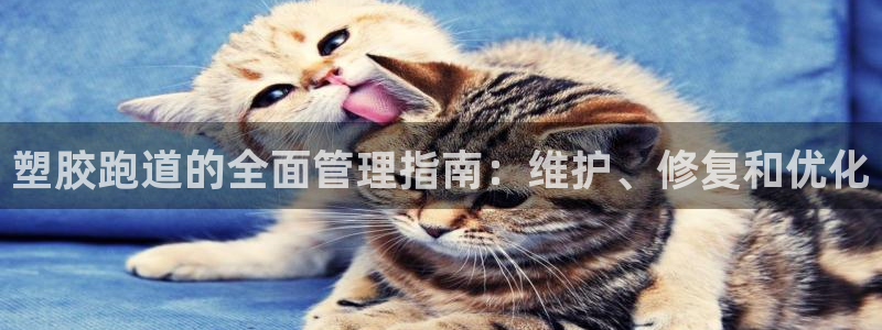 谈球吧算违法行为吗为什么：塑胶跑道的全面管理指南：维护、修复和优化