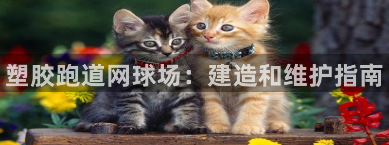 谈球吧官网入口：塑胶跑道网球场：建造和维护指南