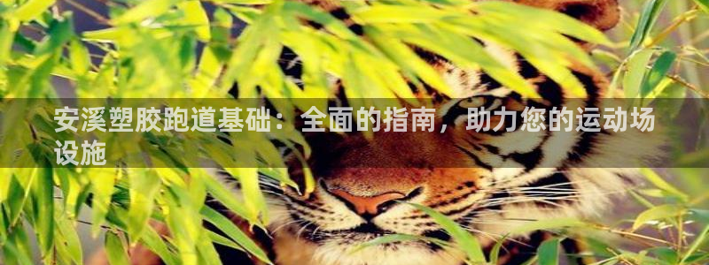 谈球吧的聊天软件：安溪塑胶跑道基础：全面的指南，助力您的运动场
设施