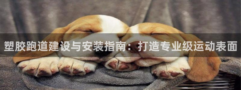 谈球吧的聊天软件下载：塑胶跑道建设与安装指南：打造专业级运动表面