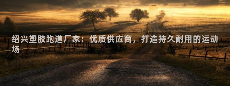 谈球吧出款怎样?：绍兴塑胶跑道厂家：优质供应商，打造