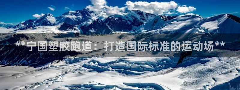 谈球吧官网在线入口免费观看视频网站：**宁国塑胶跑道：打造国际标准的运动场**