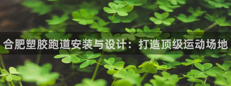 谈球吧属于哪个旗下：合肥塑胶跑道安装与设计：打造顶级运动场地