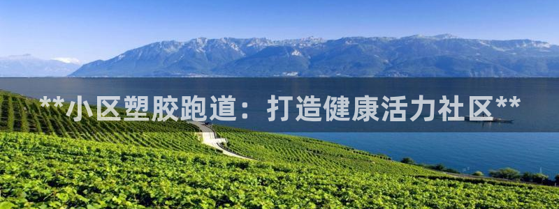 谈球吧属于哪个旗下的品牌：**小区塑胶跑道：打造健康活力社区**