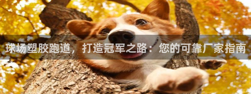 谈球吧体育app下载官网手机版安装：球场塑胶跑道，打