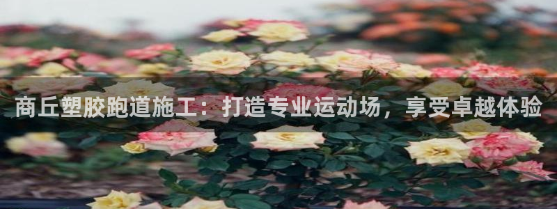 谈球吧体育app登陆：商丘塑胶跑道施工：打造专业运动场，享受卓越体验
