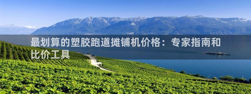 谈球吧体育ios下载：最划算的塑胶跑道摊铺机价格：专家指南和
比价工具