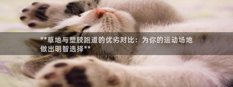 谈球吧平台正规吗可靠吗：**草地与塑胶跑道的优劣对比：为你的运动场地
做出明智选择**