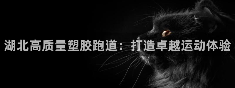 谈球吧nba：湖北高质量塑胶跑道：打造卓越运动体验