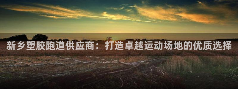 谈球吧言网入口：新乡塑胶跑道供应商：打造卓越运动场地的优质选择